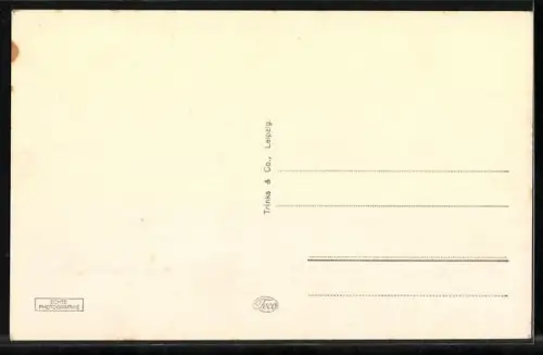 AK Schweinfurt, An der alten Stadtmauer