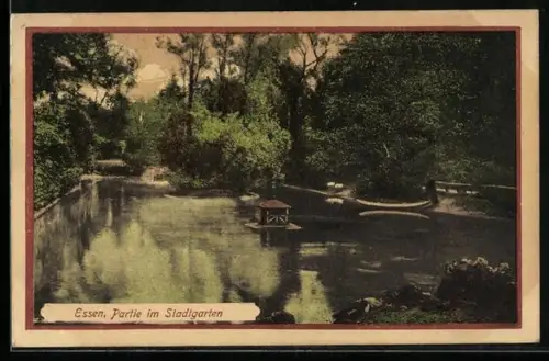 AK Essen, Partie im Stadtgarten