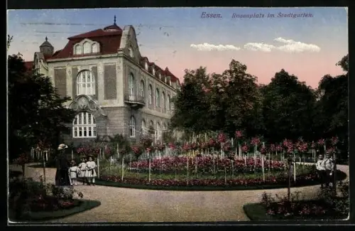 AK Essen, Rosenplatz im Stadtgarten
