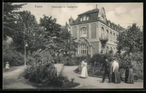 AK Essen, Rosenplatz im Stadtgarten