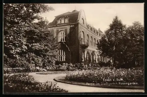 AK Essen, Partie am Stadtgarten, Rosengarten