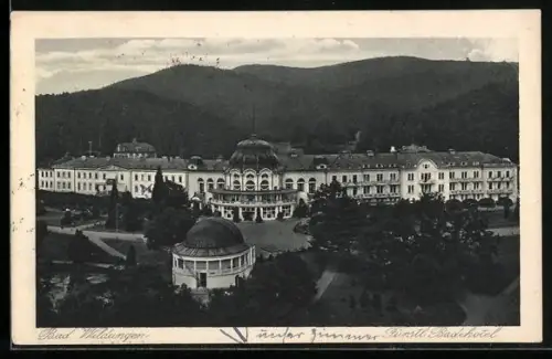 AK Bad Wildungen, Fürstliches Badehotel