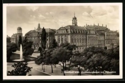 AK Frankfurt-Westend, Senckenbergmuseum und Universität