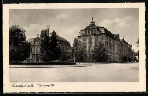 AK Frankfurt-Westend, Universität