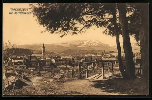 AK Traunstein, Blick von der Weinleite auf Stadt und Berge