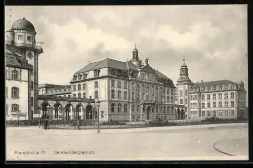 AK Frankfurt-Westend, Senckenbergianum