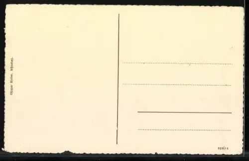 AK Freising, Stadtansicht mit Altstadt