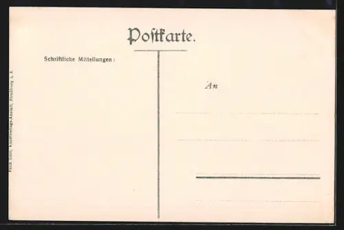 AK Strasbourg, Vue générale