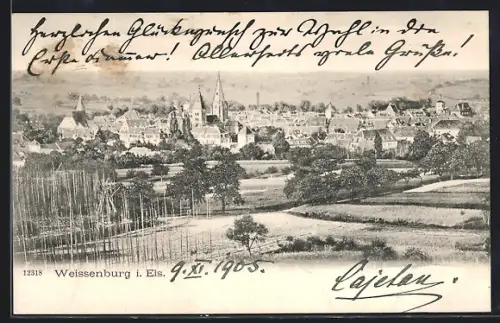 AK Weissenburg i. Els., Panorama mit Kirche