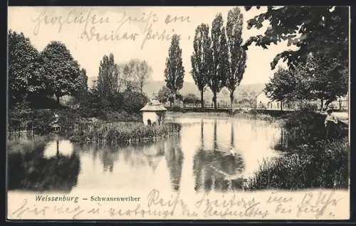 AK Weissenburg, Schwanenweiher
