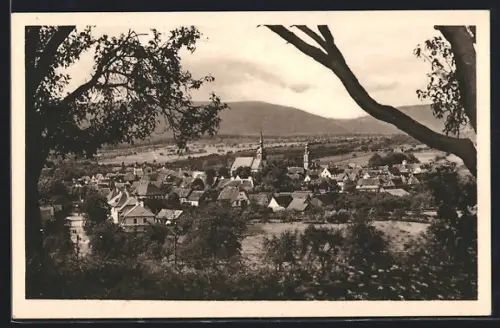 AK Soultz-sous-Forêts, Vue générale