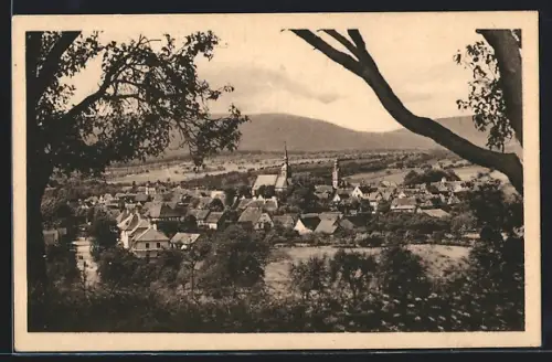 AK Soultz-sous-Forêts, Vue générale