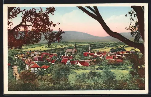 AK Soultz-sous-Forêts /Bas-Rhin, Vue générale