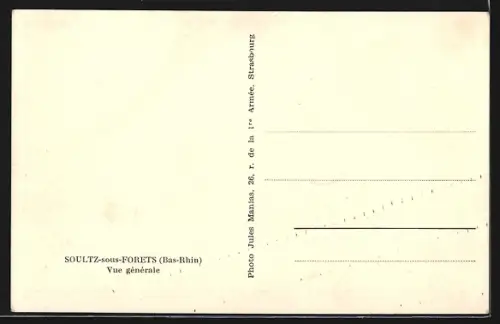 AK Soultz-sous-Forêts /Bas-Rhin, Vue générale