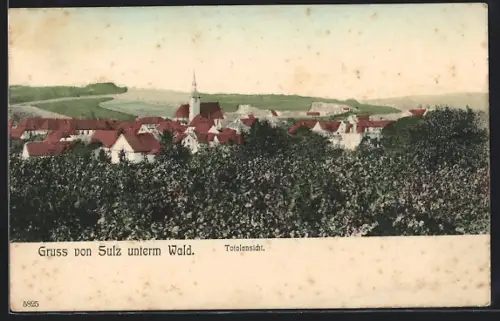 AK Sulz unterm Wald, Totalansicht mit Kirche