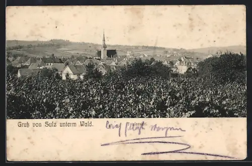 AK Sulz unterm Wald, Totalansicht mit Kirche