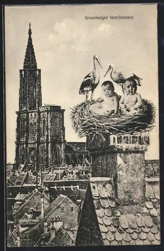 AK Strassburg, Storchennest mit Babys auf einem Schornstein, Münster