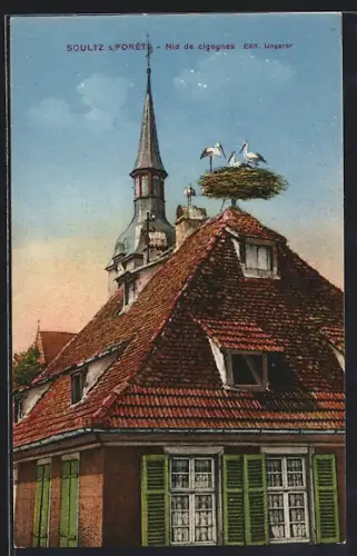 AK Soultz s. Forets, Nid de cigognes
