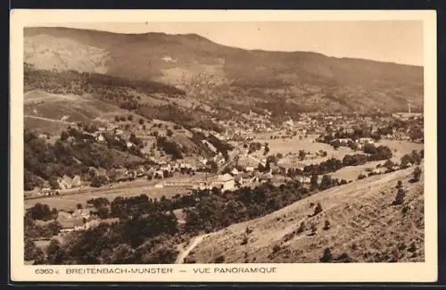 AK Breitenbach-Munster, Vue panoramique