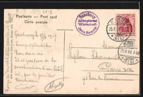 AK Gaschney, Laiterie avec des vaches au pâturage devant une colline boisée