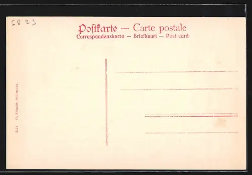 AK Trois-Épis, Vue de l`Hôtel Bellevue avec des personnes devant l`entrée