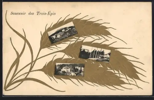 AK Trois-Épis, Souvenir des Trois-Épis avec épis de blé et petites photos intégrées