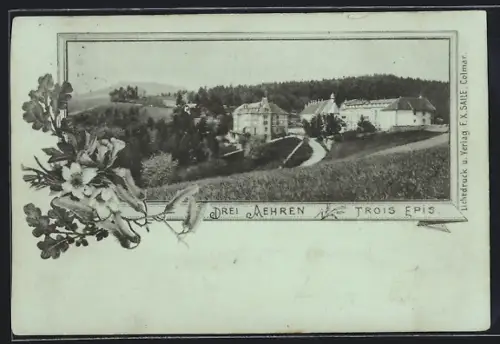 AK Trois-Épis, Vue du complexe Drei Ähren dans le paysage vallonné