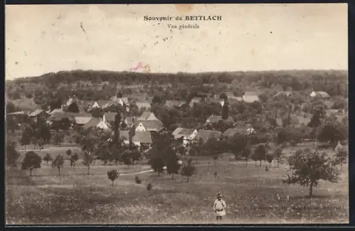 AK Bettlach, Vue générale du village et des environs boisés