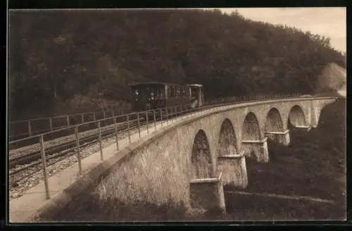 AK Chemin de fer du Revard, Le Viaduc