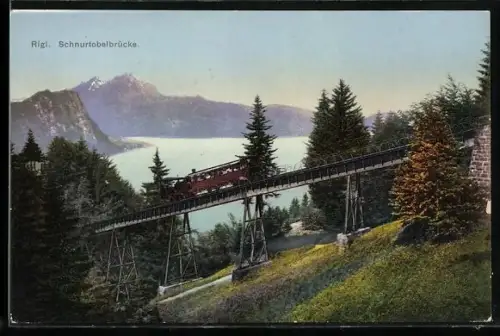 AK Rigi, Schnurtobelbrücke mit Bergbahn u. Umgebung