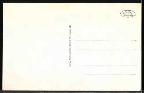 AK Heidelberg, Bergbahn zum Königstuhl, mit Bahnstation