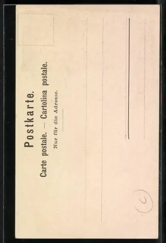 AK Meiringen, Brünigbahn, Aareschlucht, Totalansicht