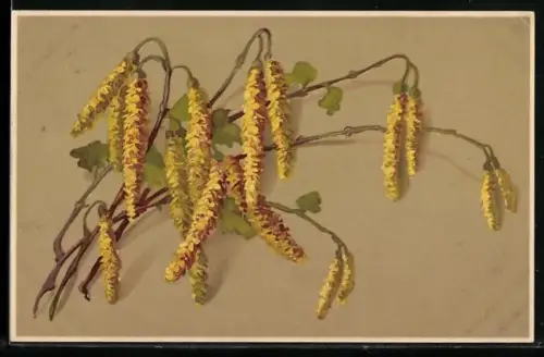 Künstler-AK Meissner & Buch (M&B) Nr. 1562: Es muss doch Frühling werden, Birkentroddeln