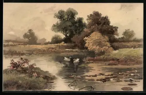 Künstler-Lithographie Meissner & Buch (M&B) Nr. 1265: Auf lichten Pfaden, Weiher mit Schwänen