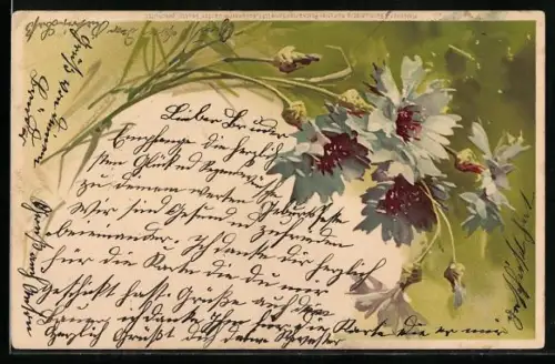 Künstler-AK Meissner & Buch (M&B) Nr. 1195: Kornblumen