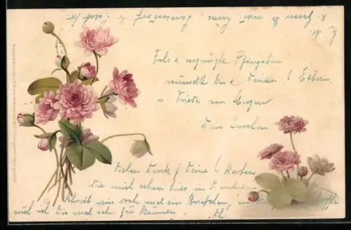 Künstler-AK Meissner & Buch (M&B) Nr. 1027: Pfingstrosen