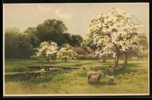 Künstler-AK Meissner & Buch (M&B) Nr. 1522: Frühlinghsidylle mit Schafen