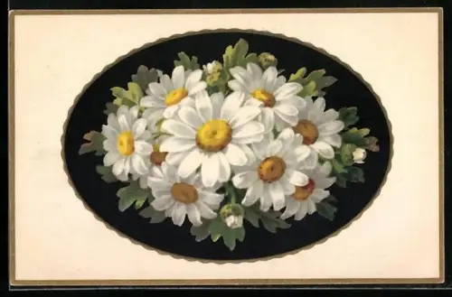 Künstler-AK Meissner & Buch (M&B) Nr. 2282: Margeriten