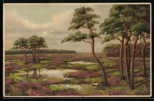 Künstler-AK Meissner & Buch (M&B) Nr.1599: Blühende Heide