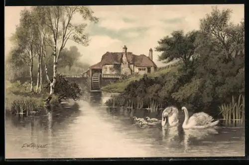 Künstler-AK Meissner & Buch (M&B) Nr.1189: Alte Wassermühle mit Schwänen im Fluss