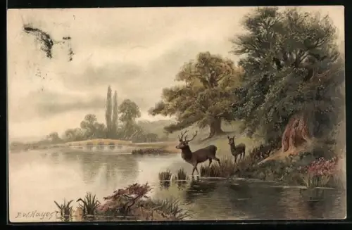 Künstler-AK Meissner & Buch (M&B) Nr. 1263: Reh und Hirsch am Seeufer