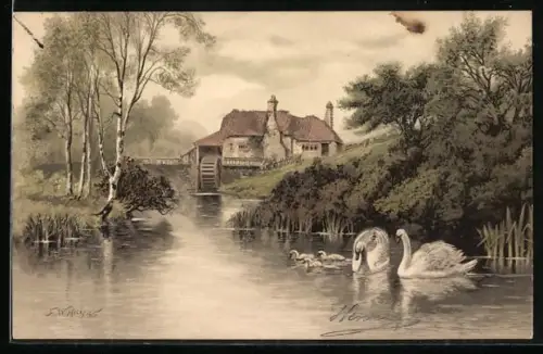Künstler-AK Meissner & Buch (M&B) Nr.1189: Alte Wassermühle mit Schwänen im Fluss