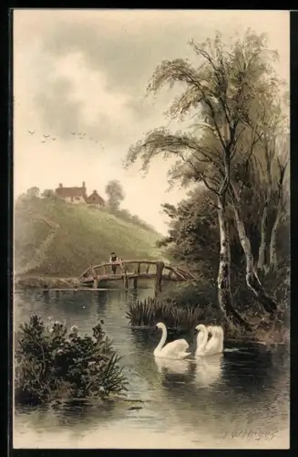 Künstler-AK sign. Hayes: Schwäne auf einem Teich unterhalb des Dorfes