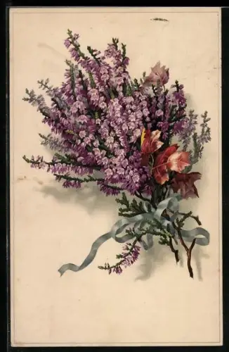 Künstler-AK Meissner & Buch (M&B) Nr.2294: Ein Strauss mit Heidekraut