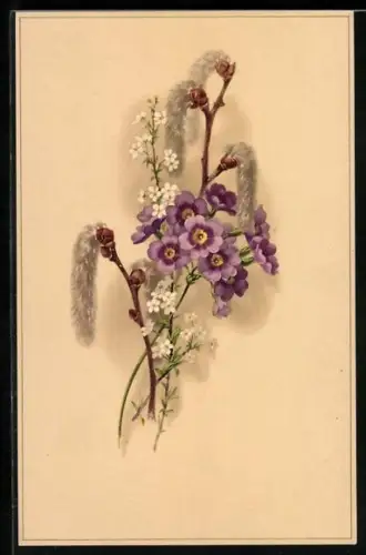 Künstler-AK Meissner & Buch (M&B) Nr. 2210: Kätzchenzweige mit Anemonen