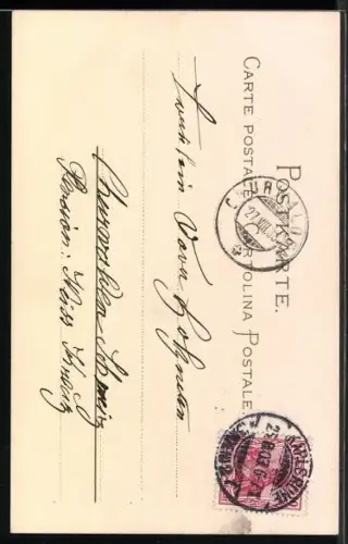 Künstler-AK Meissner & Buch (M&B) Nr. 1028: Vergissmeinnicht mit Blättern