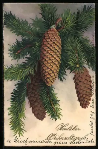 Künstler-AK Meissner & Buch (M&B) Nr. 3098: Tannenzweig mit Tannenzapfen, Weihnachtsgruss