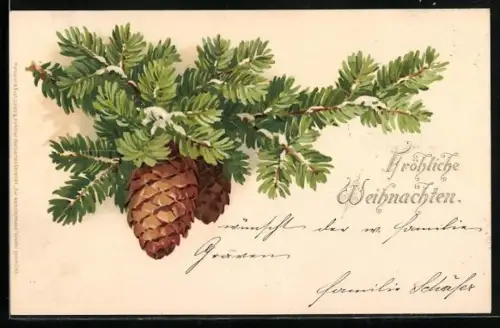 Künstler-AK Meissner & Buch (M&B) Nr. 1163: Tannenzweig mit Tannenzapfen, Weihnachtsgruss