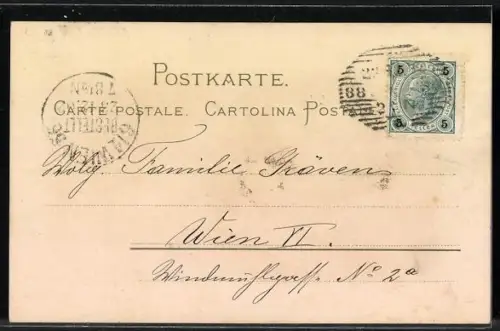 Künstler-AK Meissner & Buch (M&B) Nr. 1163: Tannenzweig mit Tannenzapfen, Weihnachtsgruss