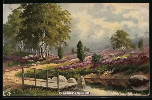 Künstler-AK Wohlgemuth & Lissner, Primus-Postkarte No. 594: die deutsche Heide, Klärender Nebel